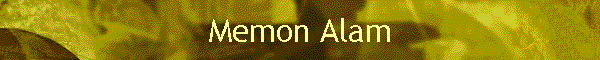 Memon Alam